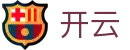 开云 - 官网 - KAIYUN中文全站登录